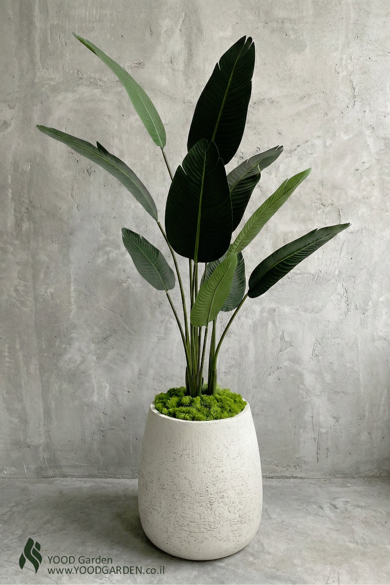 COMBO 11 | Ira vase + עץ ציפור גן עדן מלאכותי