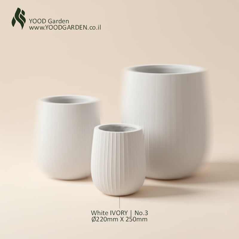 White IVORY | קלאסיקה