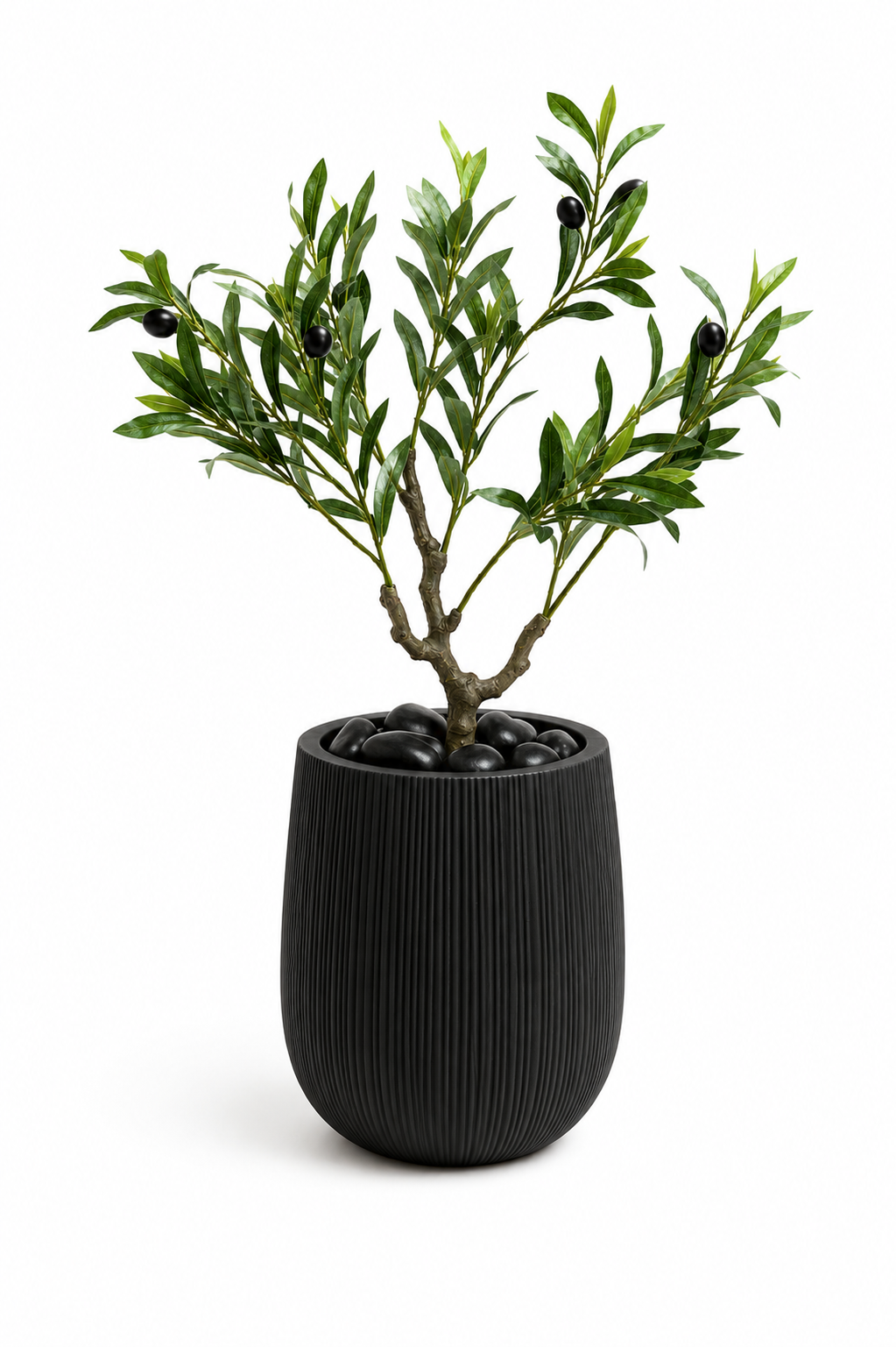 עץ זית מלאכותי 60 ס״מ בכד Black IVORY שחור עם חלוקי נחל שחורים