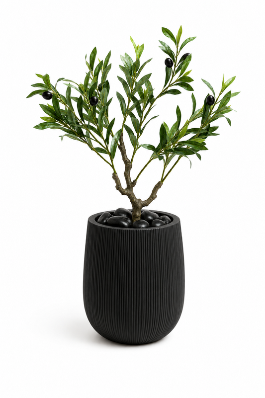עץ זית מלאכותי 60 ס״מ בכד Black IVORY שחור עם חלוקי נחל שחורים