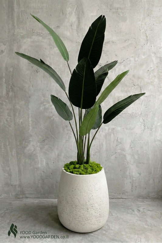 COMBO 11 | Ira vase + עץ ציפור גן עדן מלאכותי