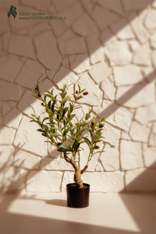 עץ זית מלאכותי 60 ס"מ – דגם פרא