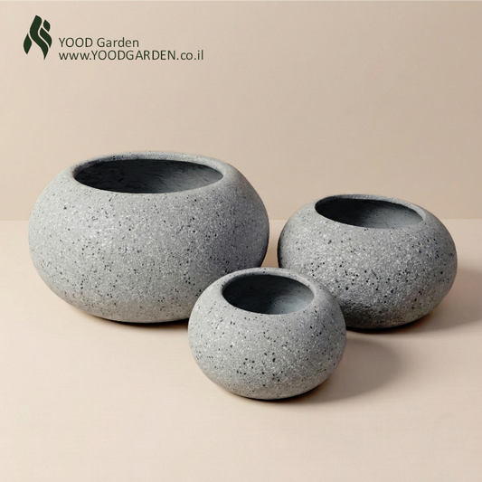 ARIA | רכות טבעית