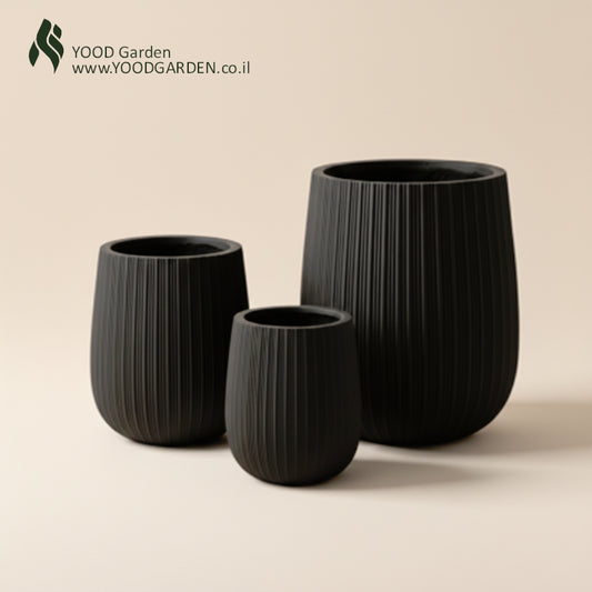 Black IVORY | קלאסיקה