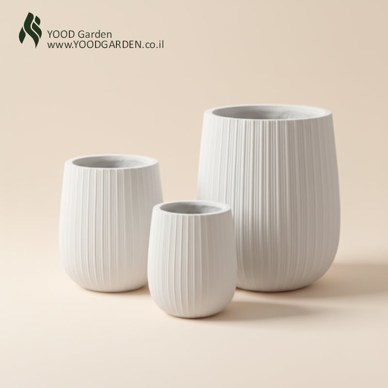 White IVORY | קלאסיקה