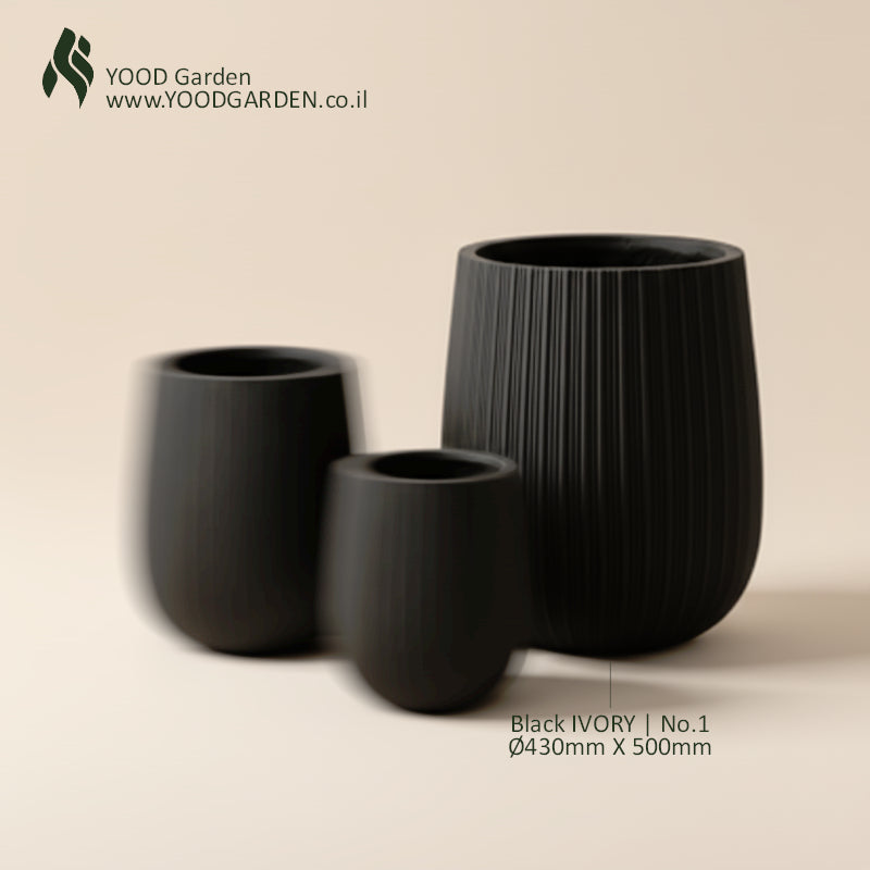 Black IVORY | קלאסיקה