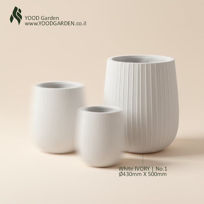 White IVORY | קלאסיקה