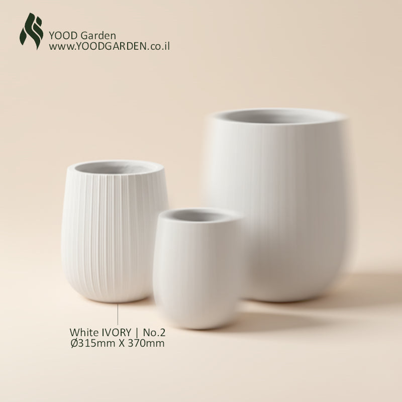 White IVORY | קלאסיקה